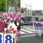 原子力空母母港化を問う住民投票条例採択求める首都圏アクション(横須賀ヴェルニー公園)